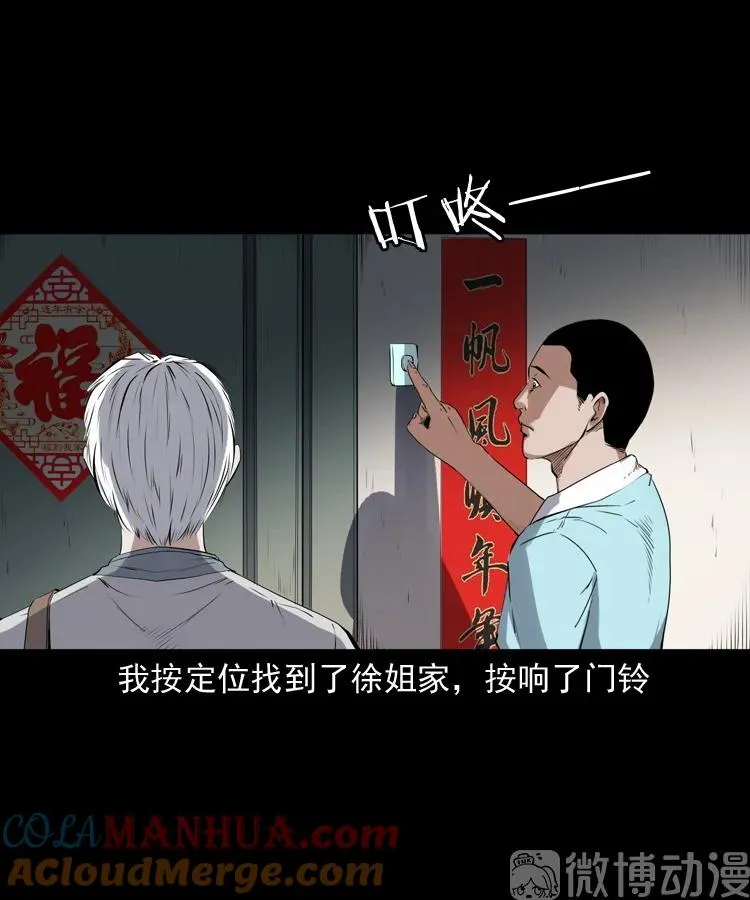 白头翁之猫灵8