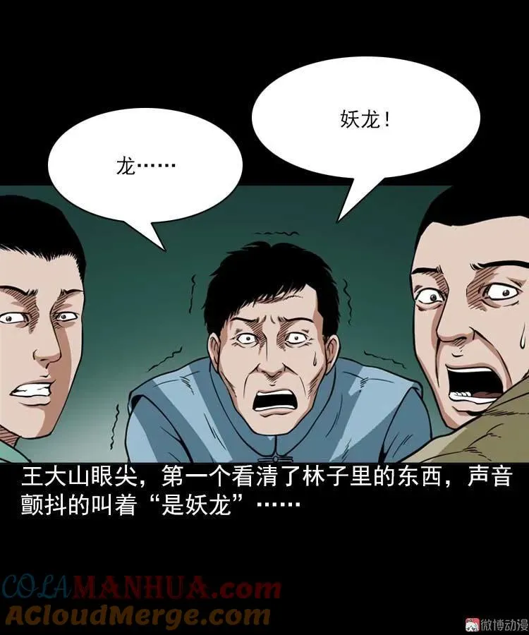 妖龙27