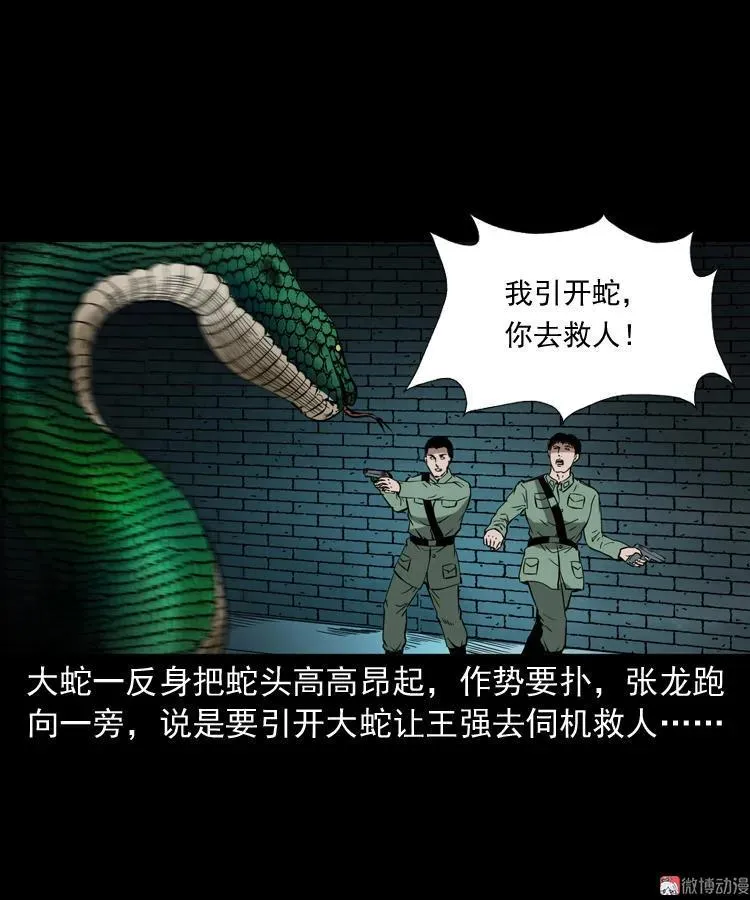 失踪案49