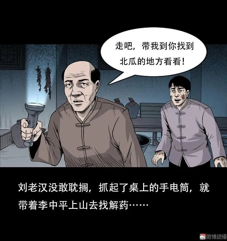 北瓜（下）13