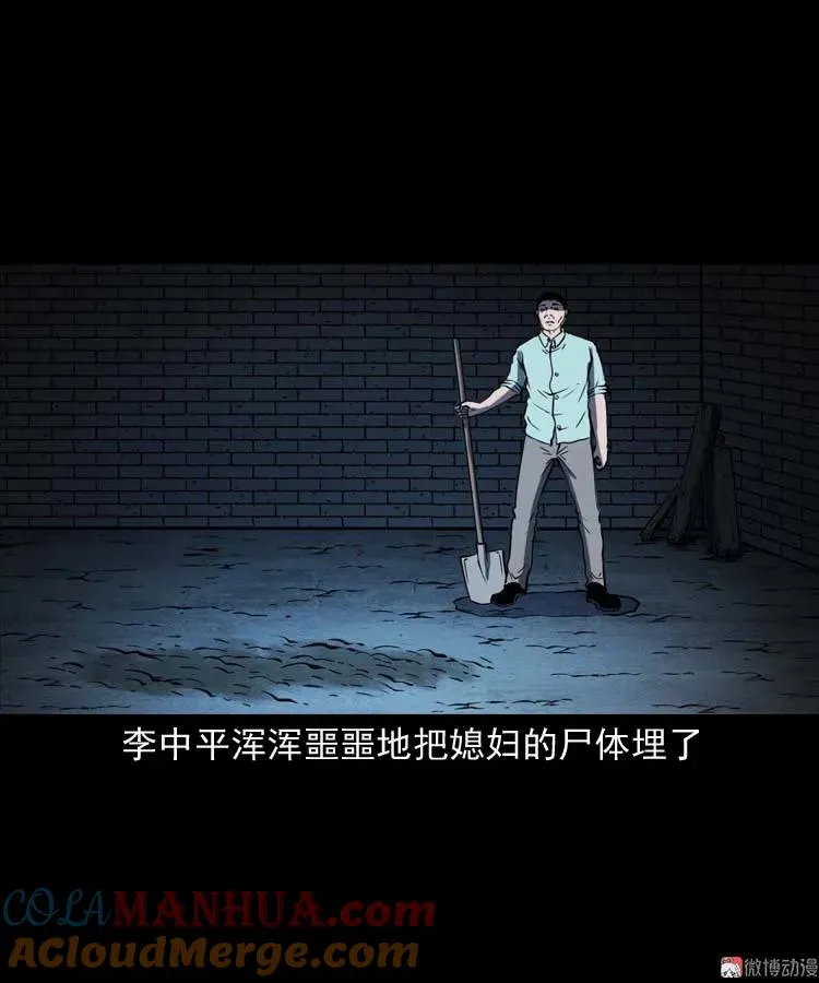 回来的妻子33