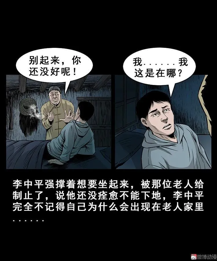 人面獾20