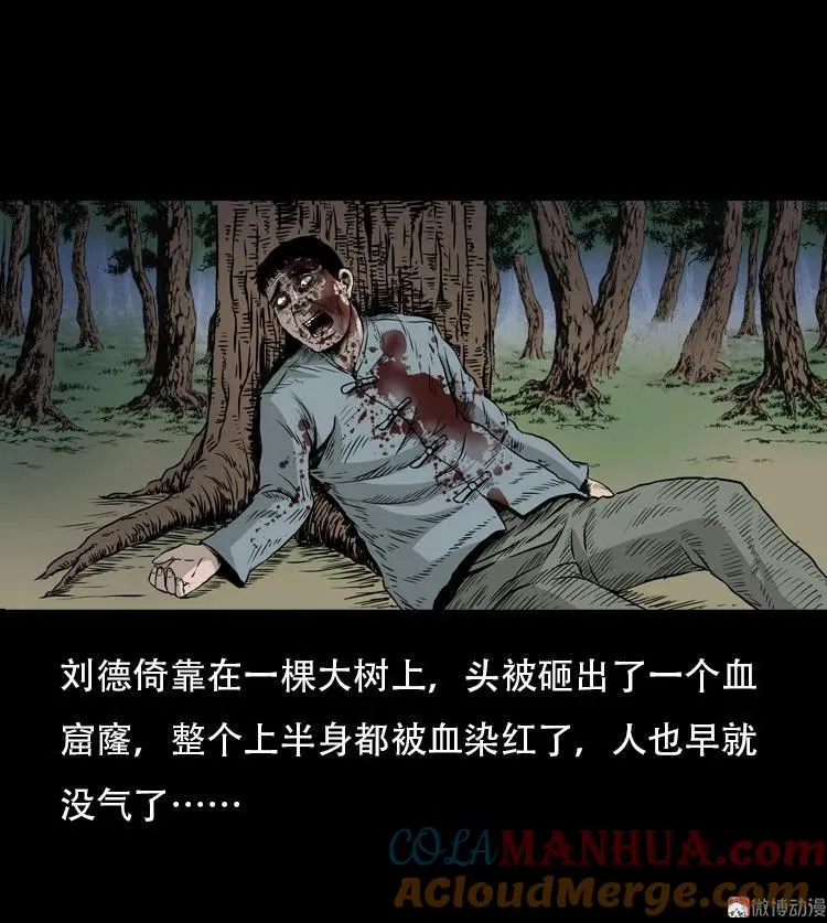 北瓜（下）60