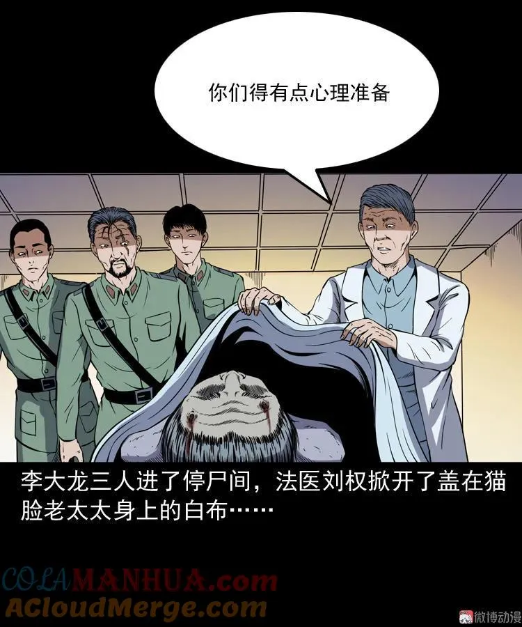 猫老太事件100