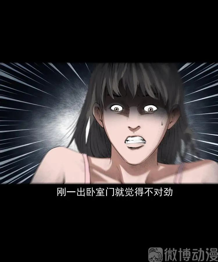 白头翁之猫灵39