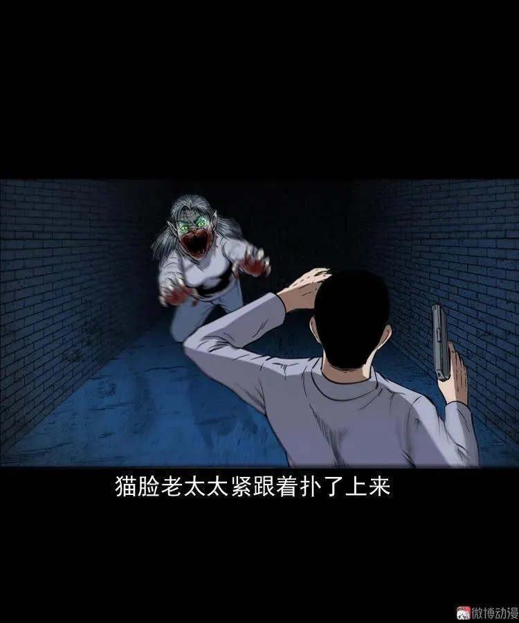 猫老太事件91