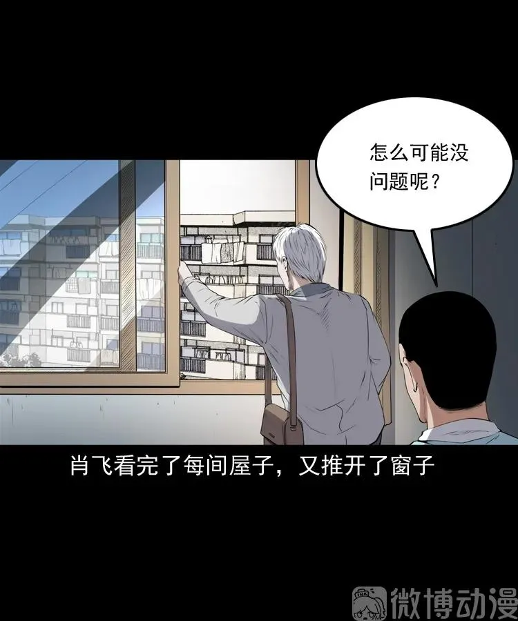 白头翁之猫灵50