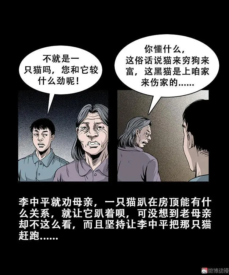黑猫7
