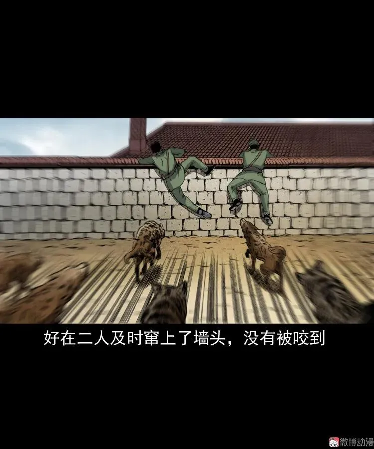 僵尸事件（二）18