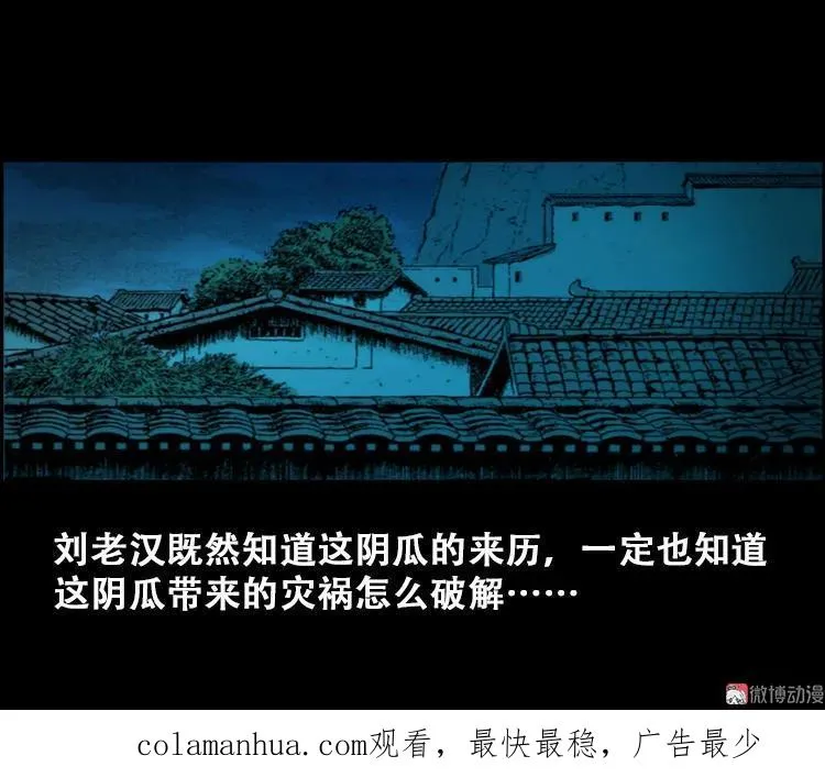 北瓜（上）70