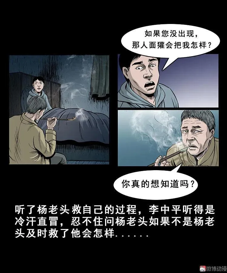 人面獾41