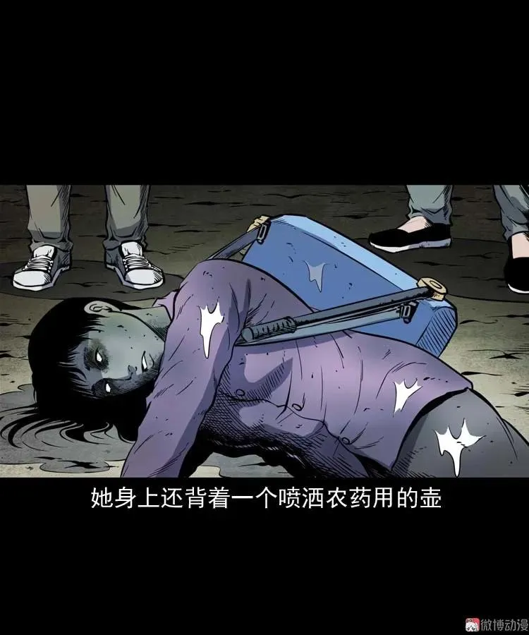 红拖鞋56