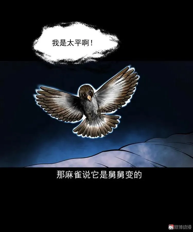 舅舅的故事44