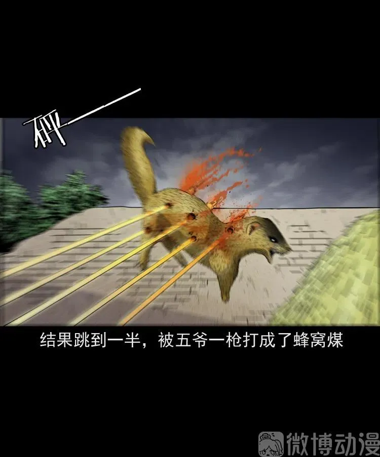 仙家异闻77