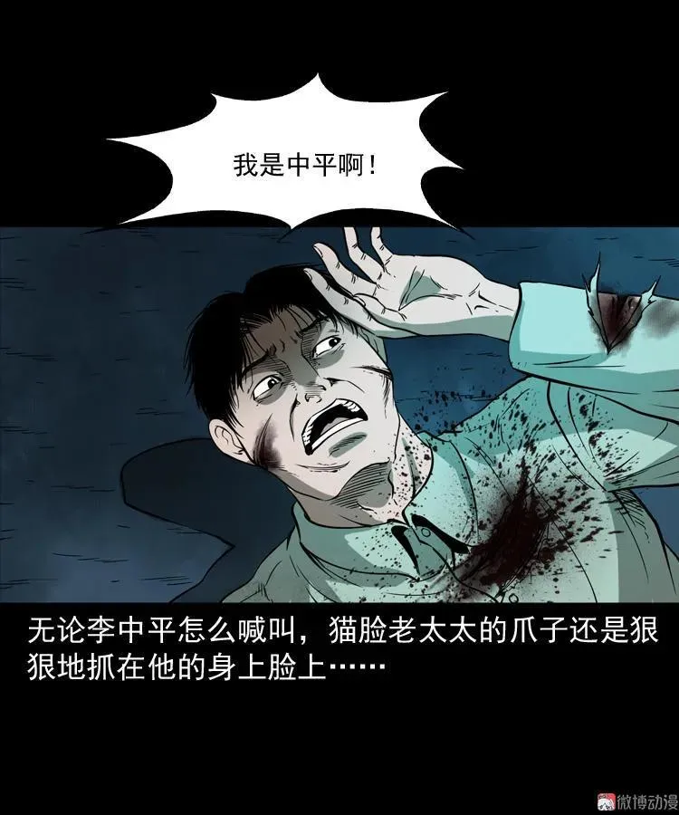 猫老太事件49