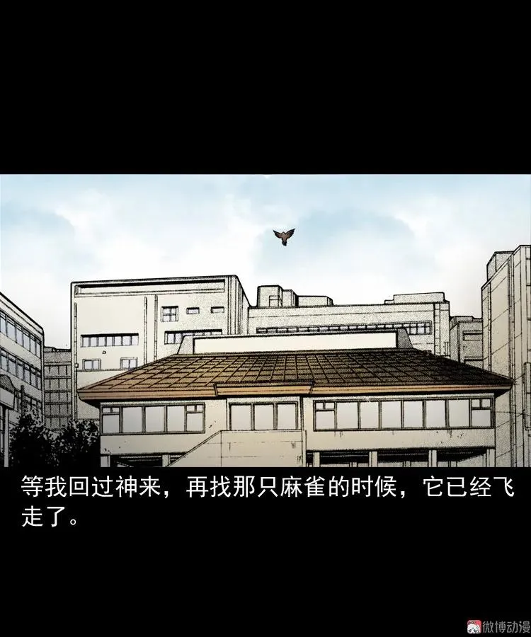 舅舅的故事73