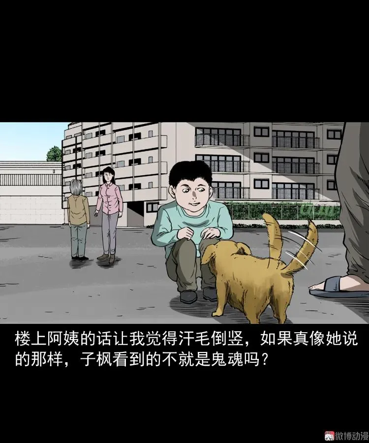 我儿子的故事26
