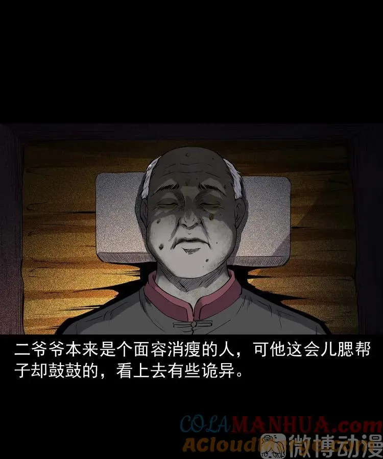 白头翁之诈尸下集12