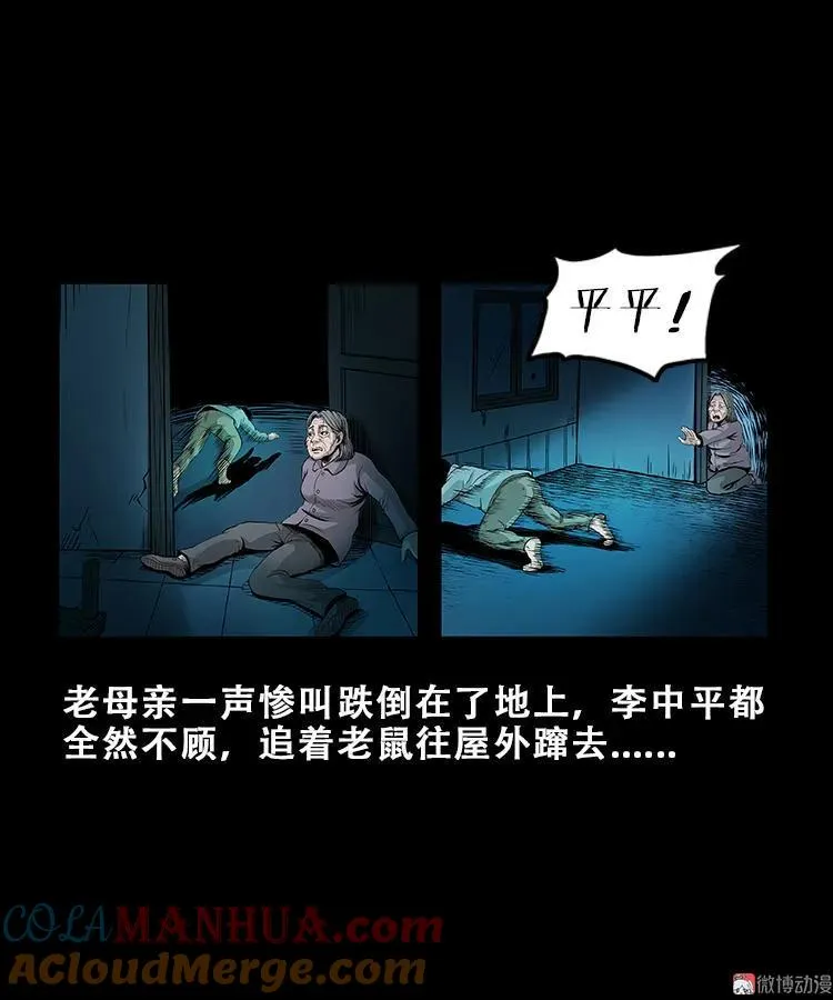 黑猫30