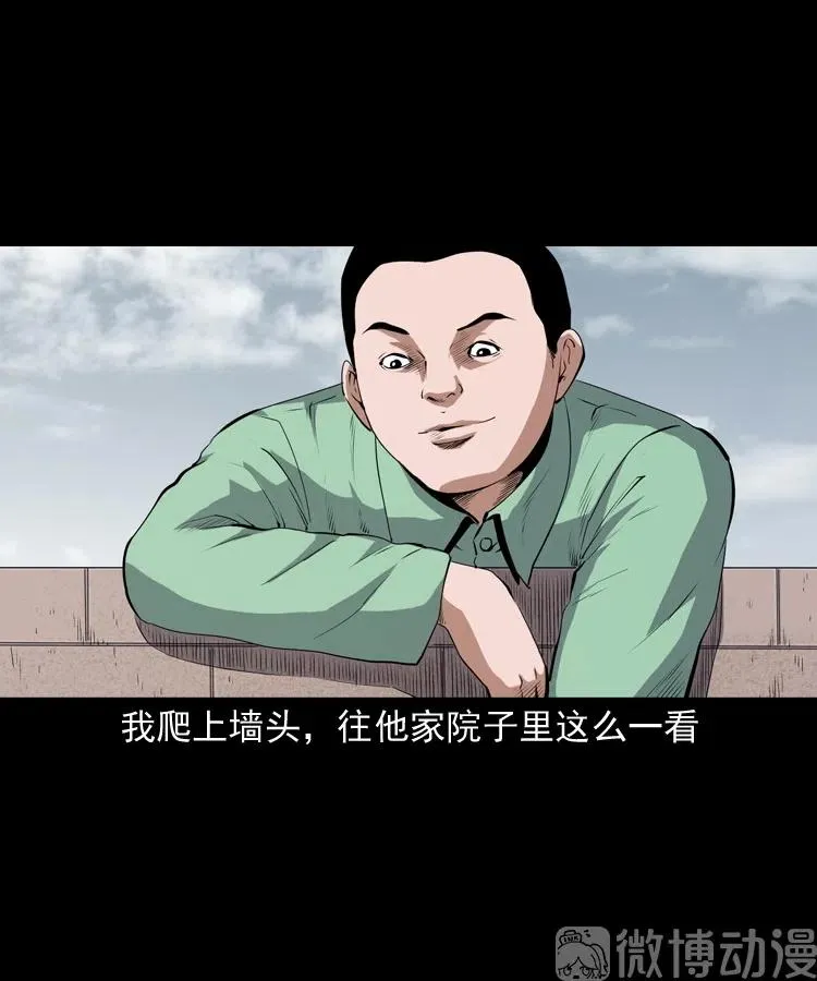 仙家异闻11
