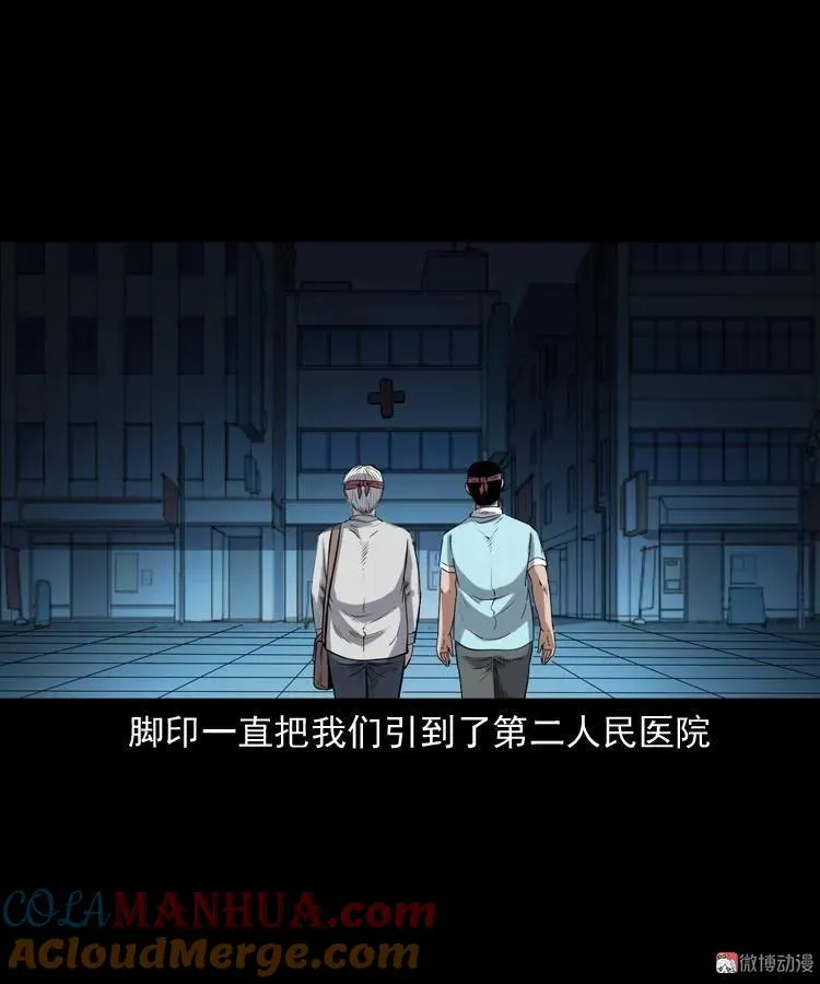白头鬼之客人72