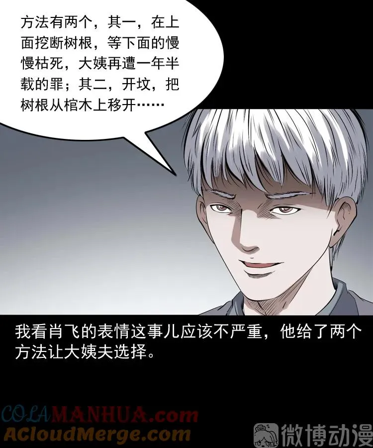 白头翁之压头煞63