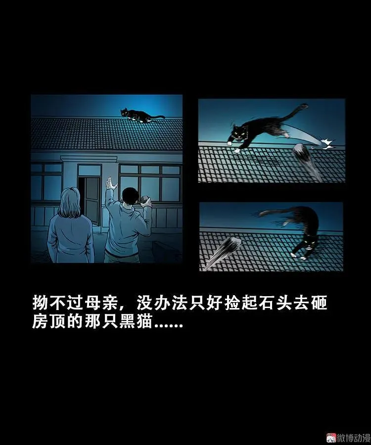黑猫9