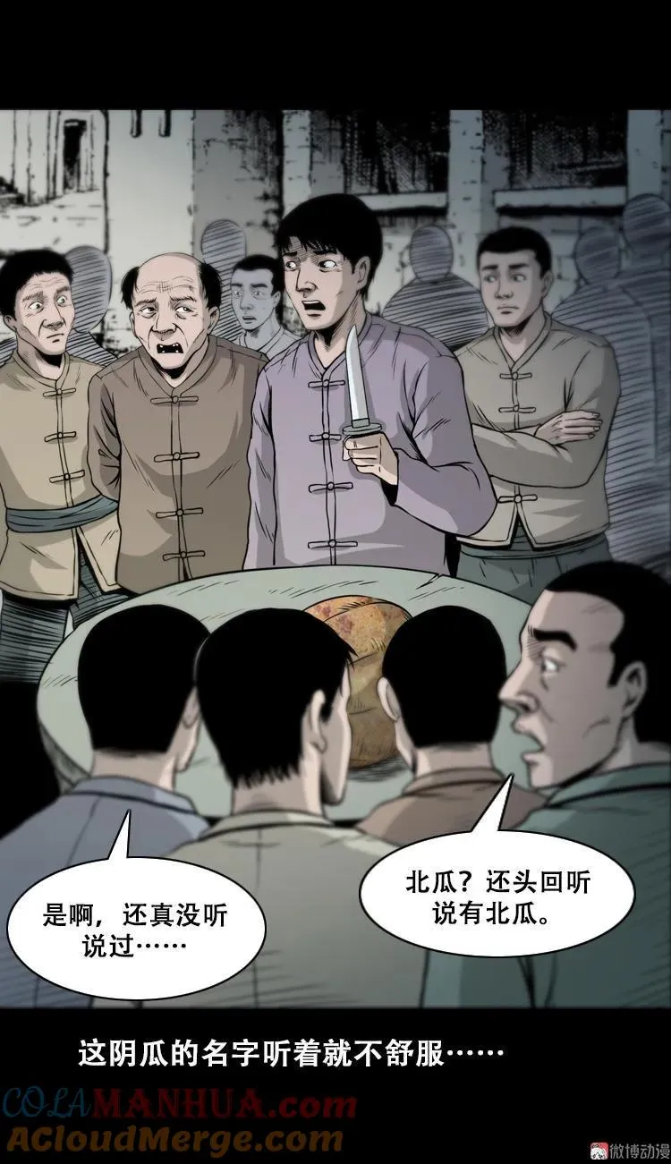 北瓜（上）39