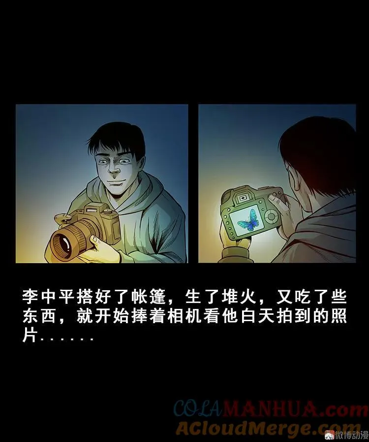 人面獾6