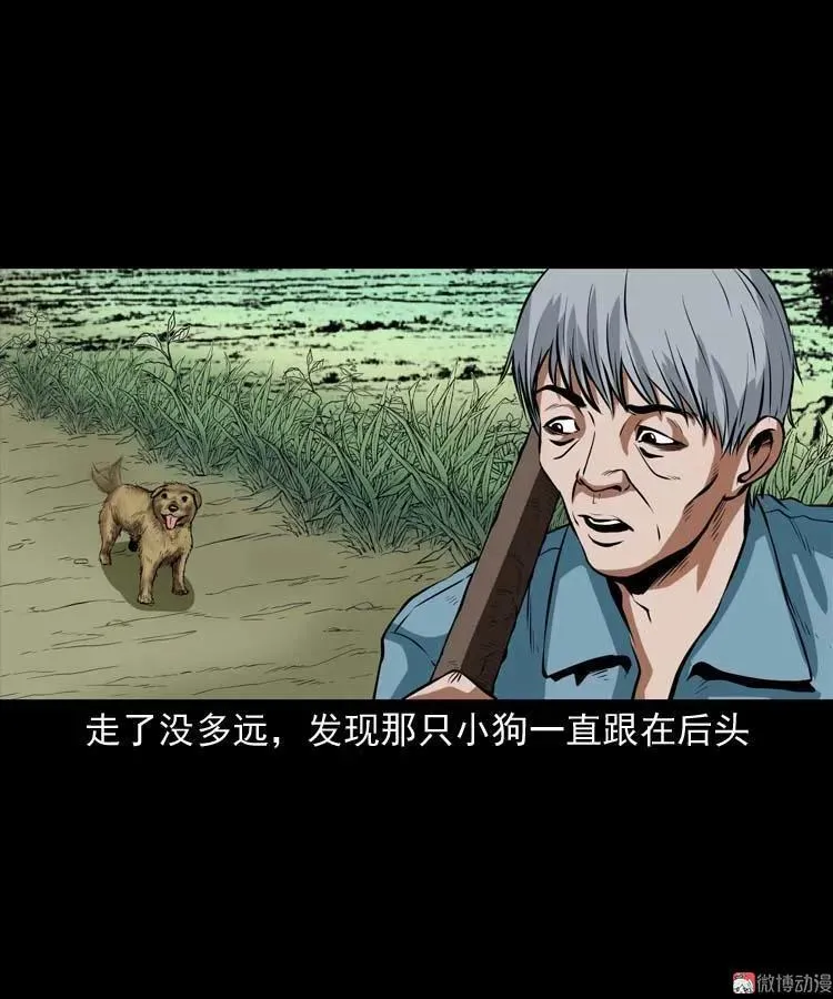 狗23