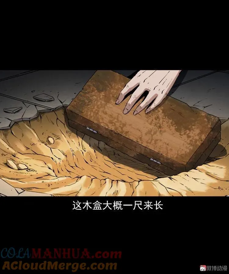 白头翁之厌胜63