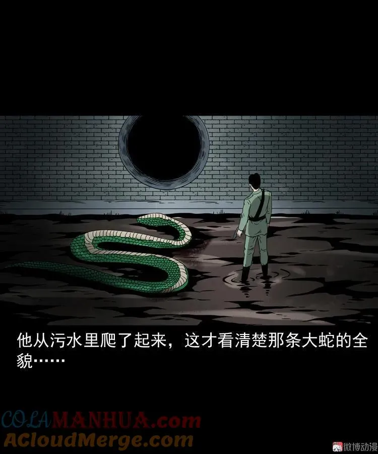 失踪案75