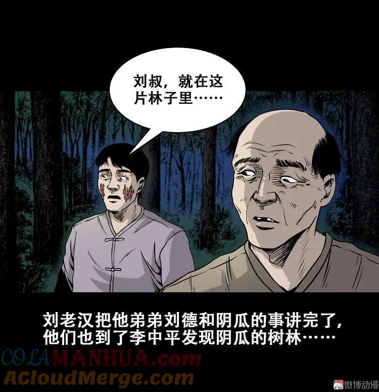 北瓜（下）81