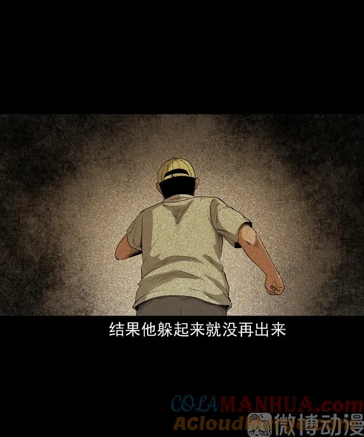 白头翁之猫灵24