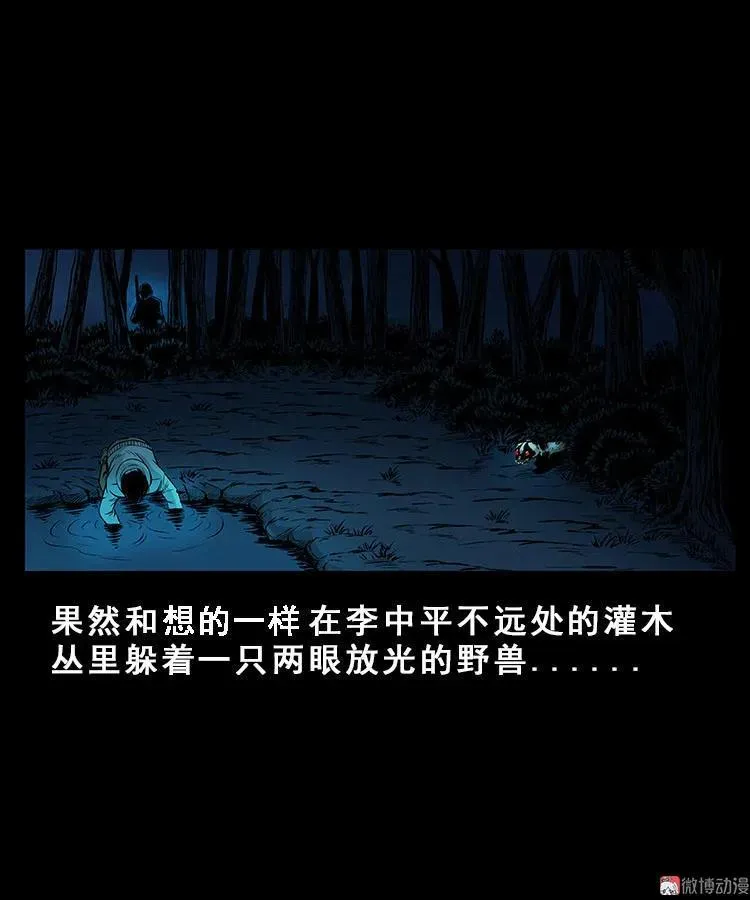 人面獾35