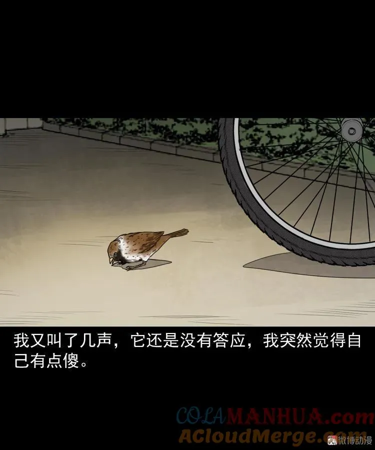 舅舅的故事66
