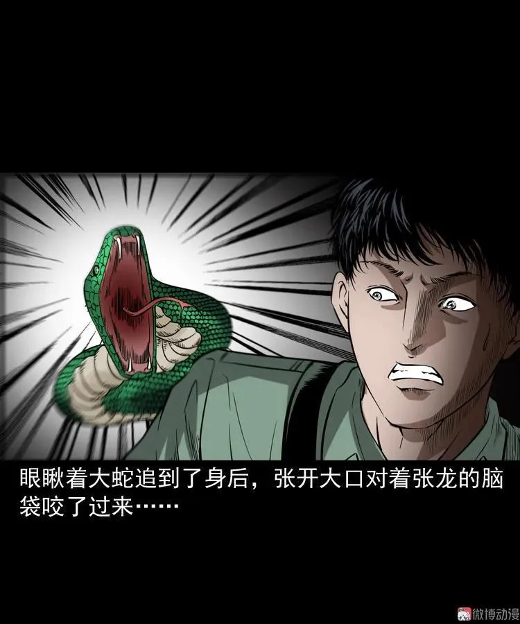 失踪案56