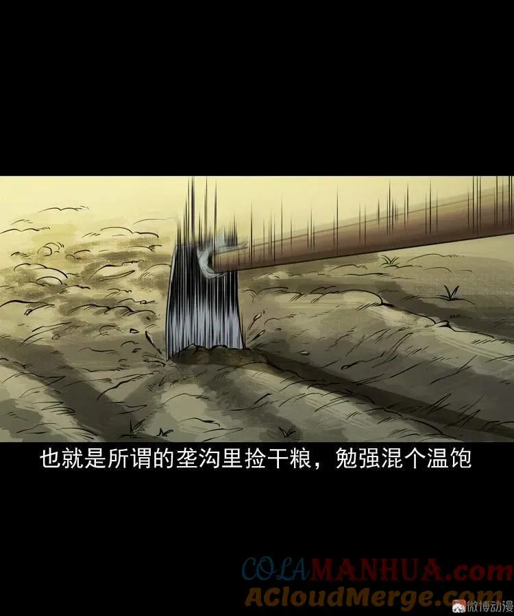 狗6