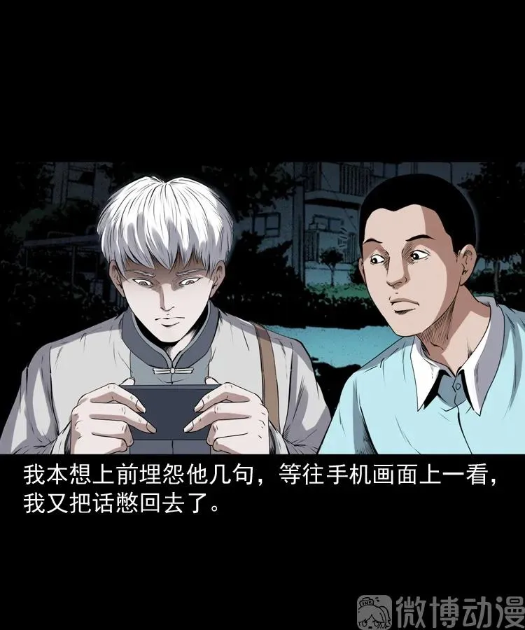 白头翁之猫灵63