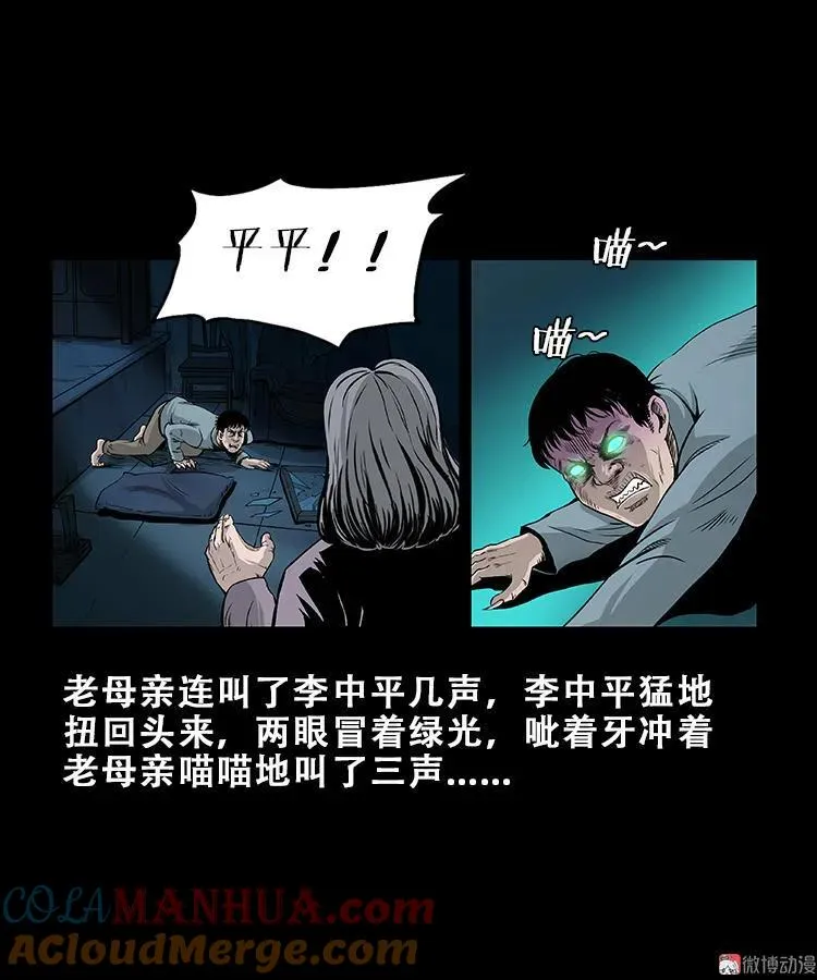 黑猫26