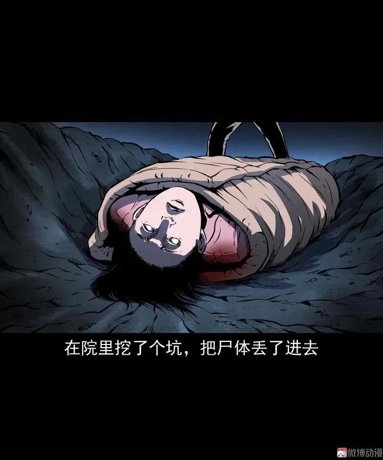 回来的妻子29