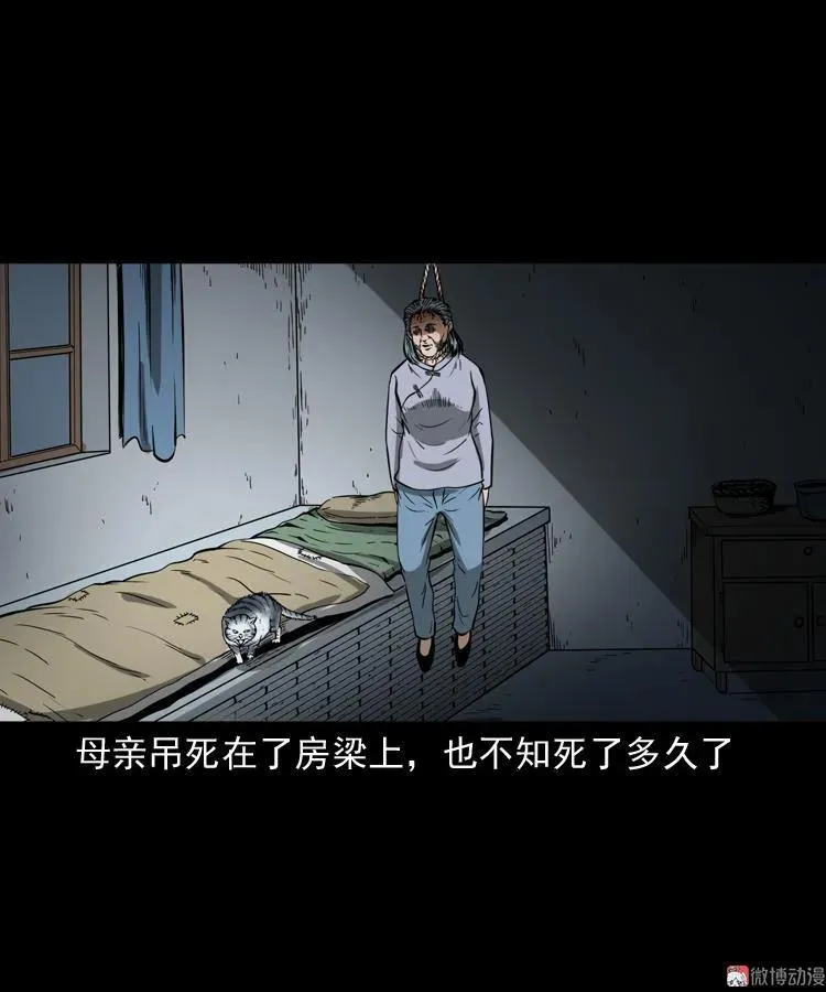 猫老太事件26