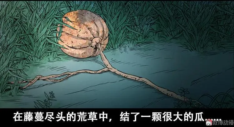 北瓜（上）19