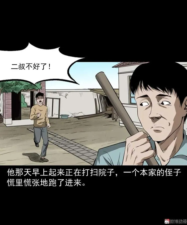 亡妻的下落14