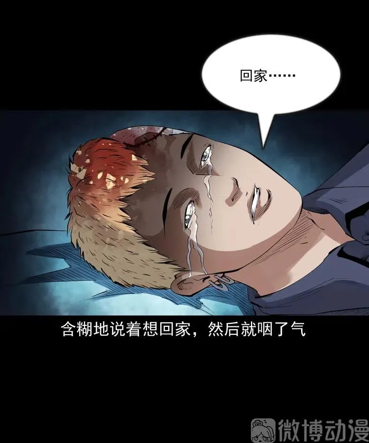 回来的逆子28
