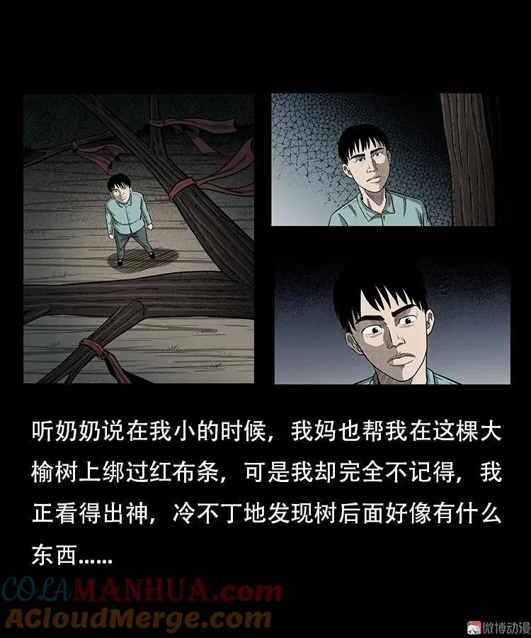 红布袋12