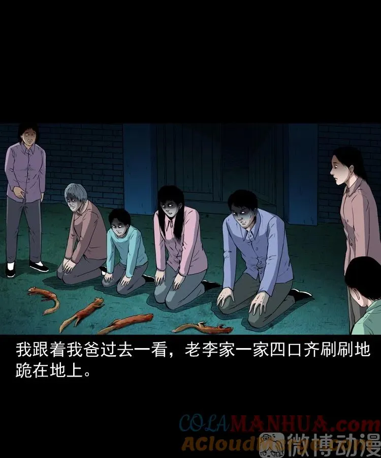 仙家异闻24