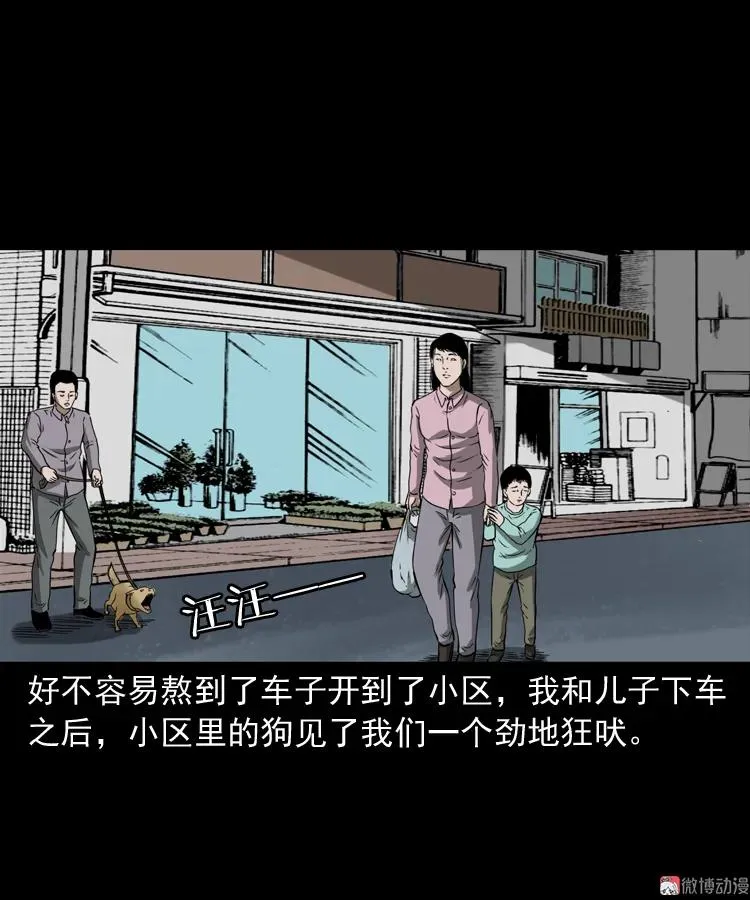 我儿子的故事49