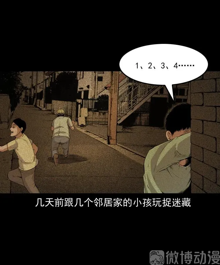 白头翁之猫灵23