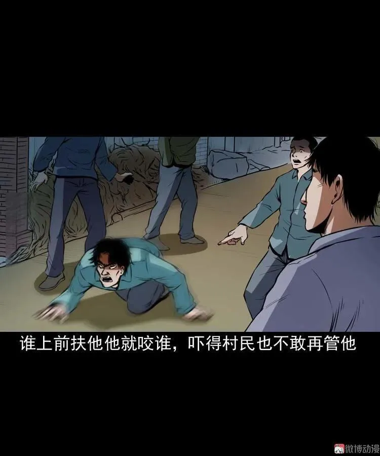 狗56